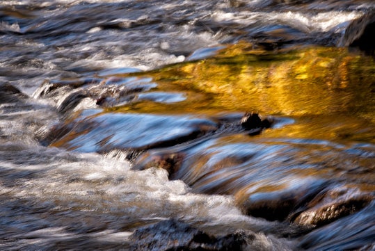 Close-up of water flowing over rocks in a stream, with golden-yellow reflections on the water's surface.