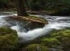 Landscapes & Waterfalls Photography Experience - Asheville Photo Tours