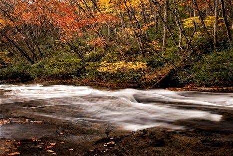 Landscapes & Waterfalls Photography Experience - Asheville Photo Tours