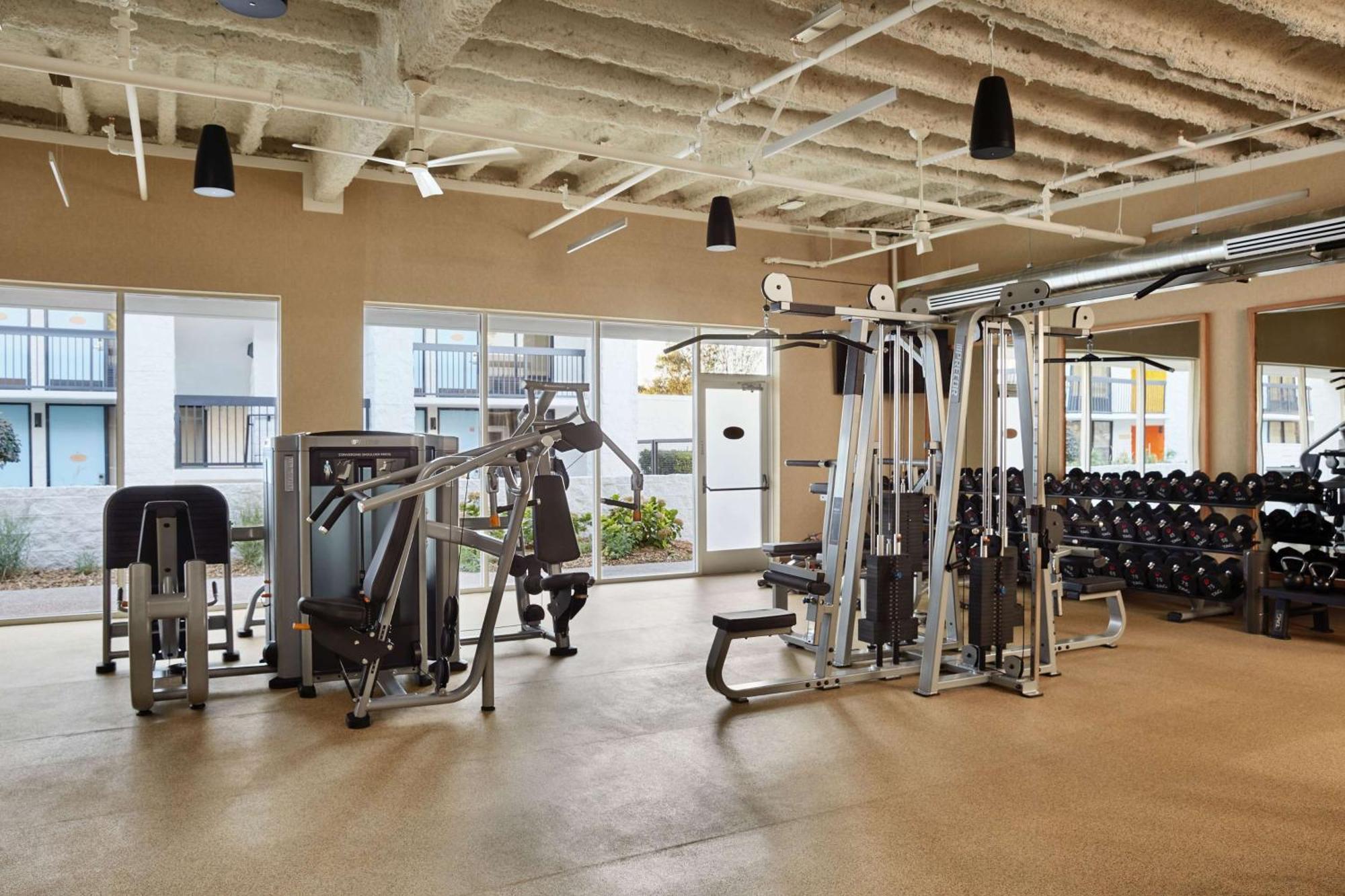 A modern gym with various exercise machines, free weights, and large windows letting in natural light.