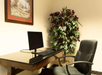 An office desk with a computer monitor and keyboard, a black swivel chair, a potted plant, and a landscape painting on a beige wall.