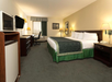 A hotel room with a king-size bed featuring green bedding, a desk with a chair, a flat-screen TV, microwave, mini-fridge, two lamps, and a window with curtains.