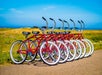 Rental Bikes nearby