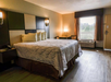 Guest room with one king bed.