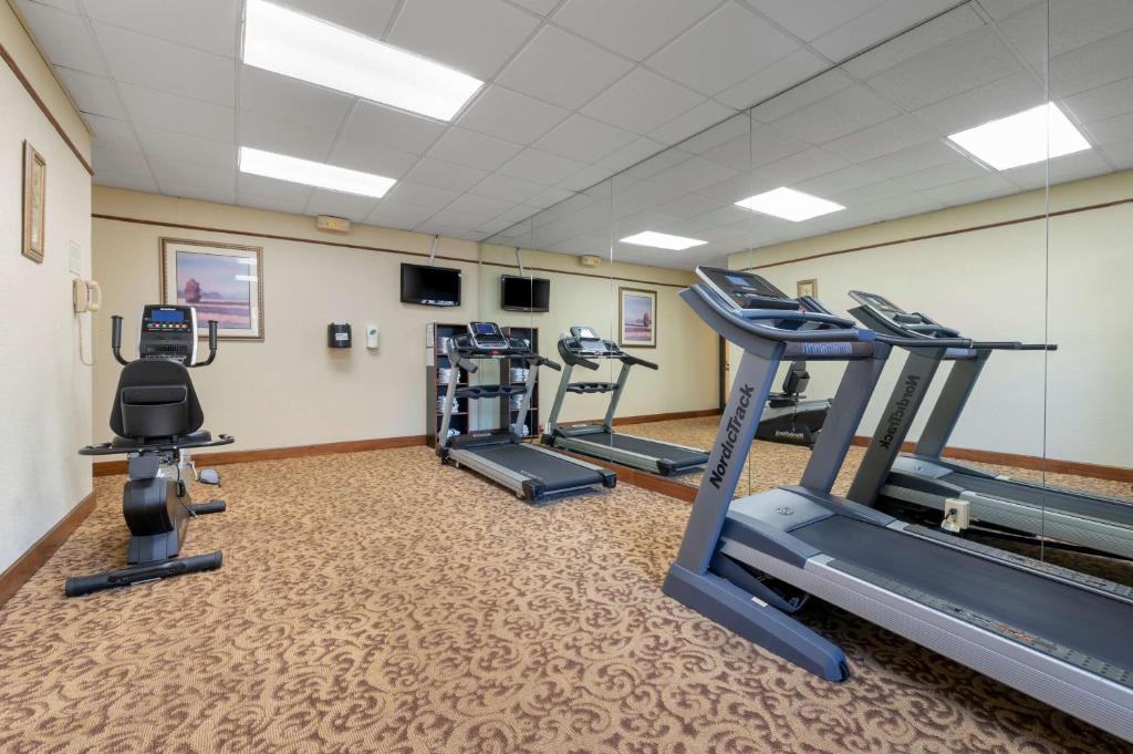 Small gym room with three treadmills, one exercise bike, and a mirrored wall. Beige carpeting and a few framed artworks on the walls. Ceiling lights illuminate the space.