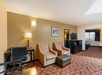 Hotel room with two patterned chairs, a small ottoman, desk with chair, wall-mounted lamp, and a dresser with a TV. Carpet has a floral pattern, and there's a window on the far wall.