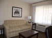 Seating area with sofa bed inside a non-smoking room.