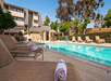 Outdoor pool and loungers.