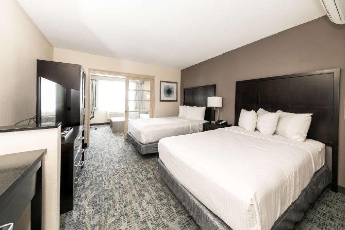 Premier Inn Dog Friendly Hotels 3d mon