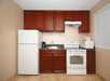 Kitchen, microwave, stovetop, refrigerator, sink at Best Western St. Augustine Beach Inn, FL.