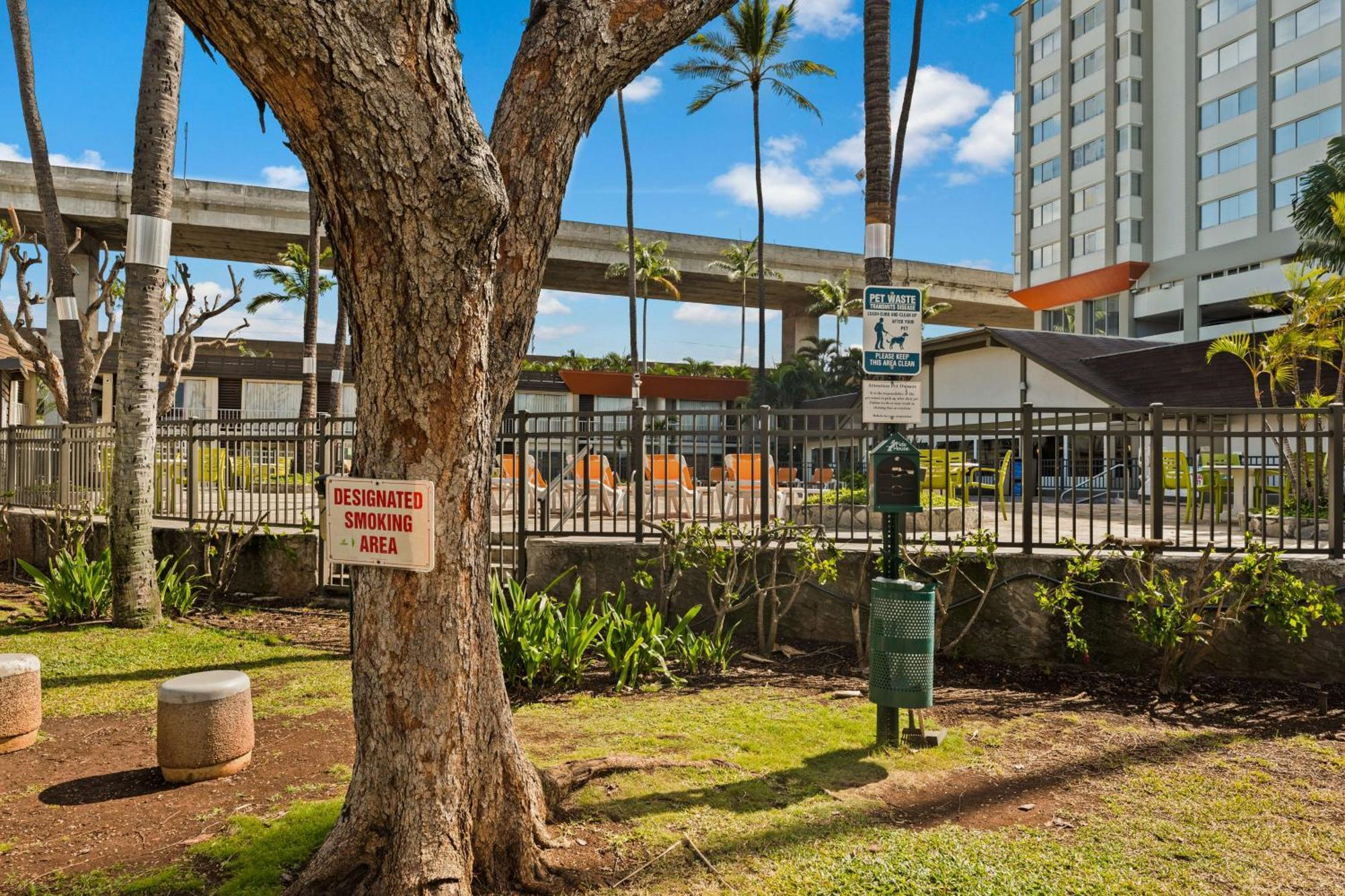 A tree with a "Designated Smoking Area" sign stands near a dog waste disposal station in a landscaped area by a pool and tall buildings.