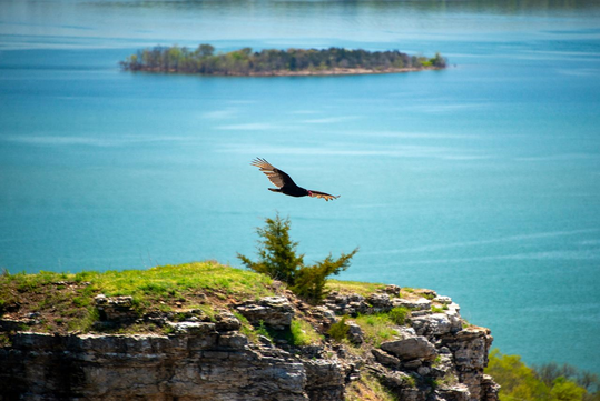 A bird soars over a rocky cliff with a small island in the background, above a turquoise lake.