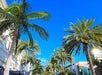 Beverly Hills 