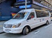 Glass-top buses (15 passengers max)