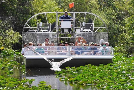 Spot local wildlife on a thrilling Everglades airboat tour.
