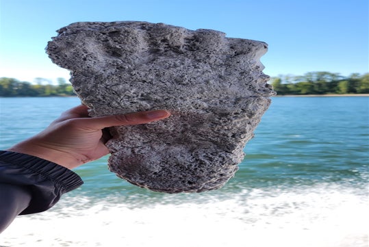 A hand holding a large, flat gray pumice stone against a backdrop of water and distant trees under a clear blue sky.