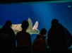 Birch Aquarium at Scripps Institution of Oceanography in La Jolla, CA