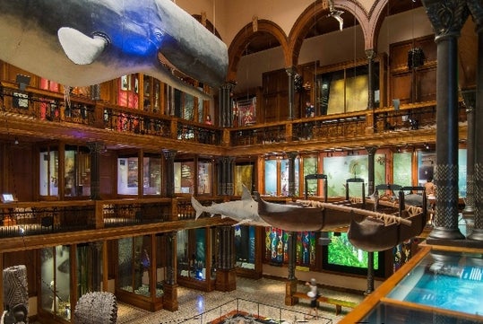 Bishop Museum in Honolulu, HI