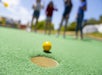 The Miniature Golf at Boomers Livermore!