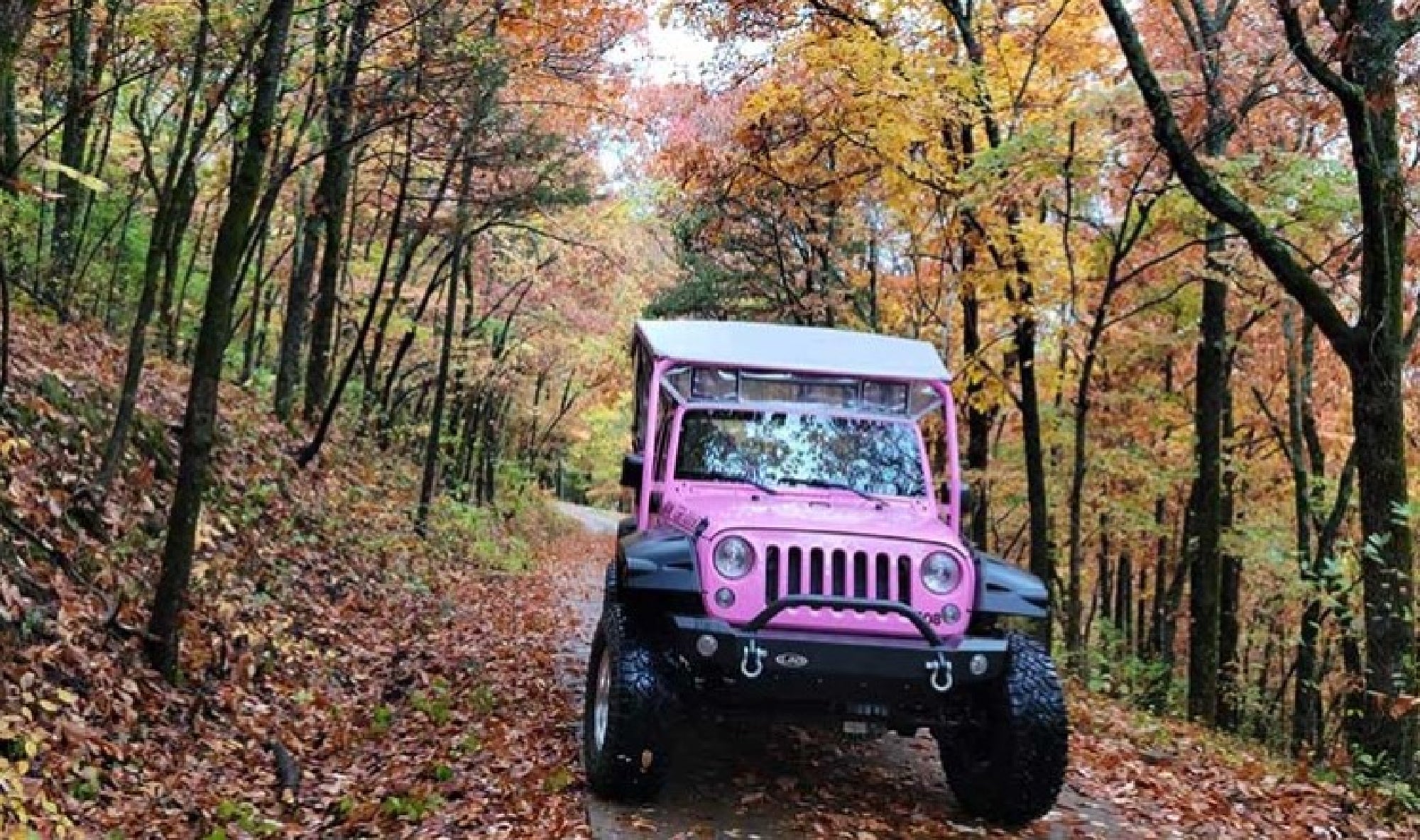 Pink Jeep under Autumn Trees