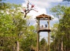 Zip into World Class Eco-Adventure at Branson Zipline Canopy Tours.