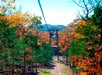 A zip line runs above a forest with colorful autumn foliage, leading to a wooden platform in the distance under a clear sky.