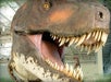 Branson's Dinosaur Museum in Branson, Missouri