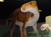A dinosaur exhibit under dim lighting, featuring a large, lifelike herbivore model with a thick body and a long neck.