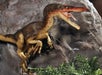 Large and small dinosaurs.