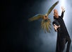 A bald man in a black outfit gestures dramatically as a colorful parrot flies nearby against a dark, smoky background.