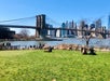 People relax on a grassy area near a river with the Brooklyn Bridge and New York City skyline in the background on a clear day.