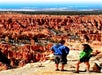 Bryce – Zion Combination Tour in Las Vegas, Nevada