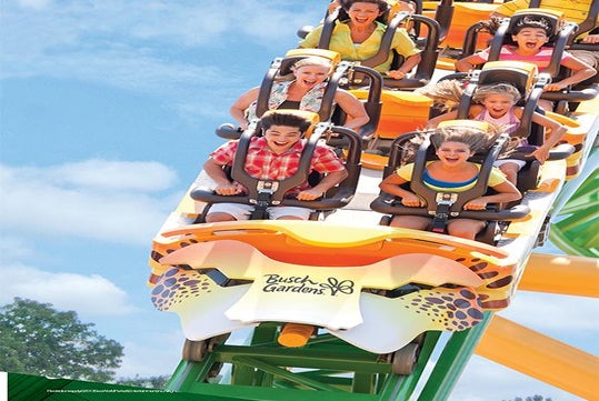 Busch Gardens Tampa in Tampa, Florida