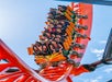 Busch Gardens® Tampa Bay – Tigris®, Florida’s tallest launch coaster, with an exhilarating triple launch, and a 150-foot skyward surge.