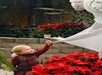 Little girl with Angel