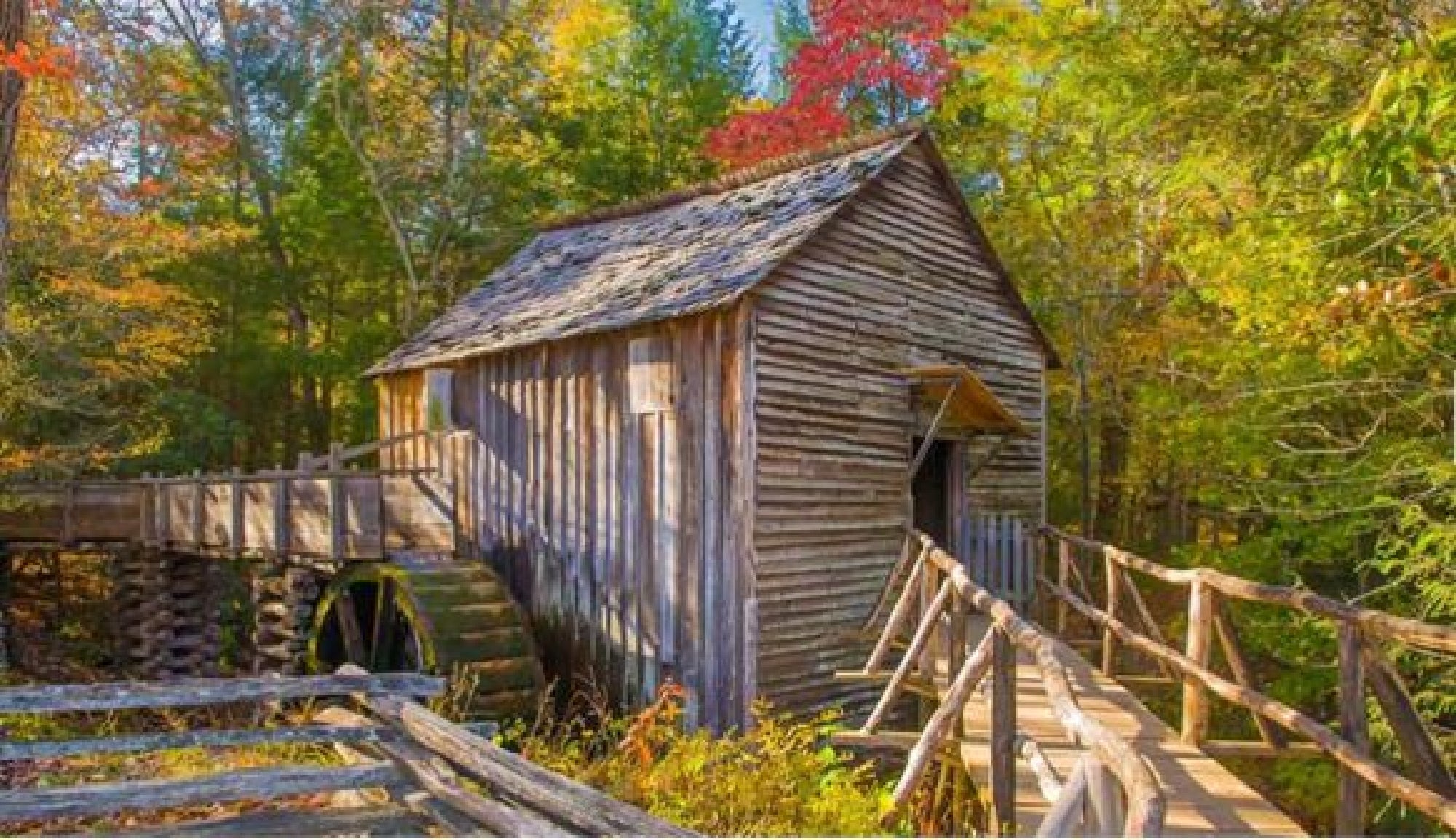 A wooden watermill surrounded by trees with autumn foliage, sitting beside a wooden walkway and fence.