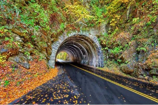 A road tunnel surrounded by rocky walls and autumn foliage, with a wet road surface and fallen leaves scattered along the sides.