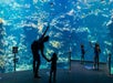 California Academy of Sciences in San Francisco, California