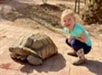 A child crouches next to a large tortoise on a sunlit stone path.