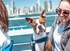 A brown and white dog wearing a harness sits next to a smiling woman on a boat, with a city skyline and water in the background.