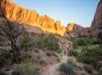 People hiking on a rocky trail surrounded by desert vegetation and cliffs, with the sun casting a warm glow on the landscape.