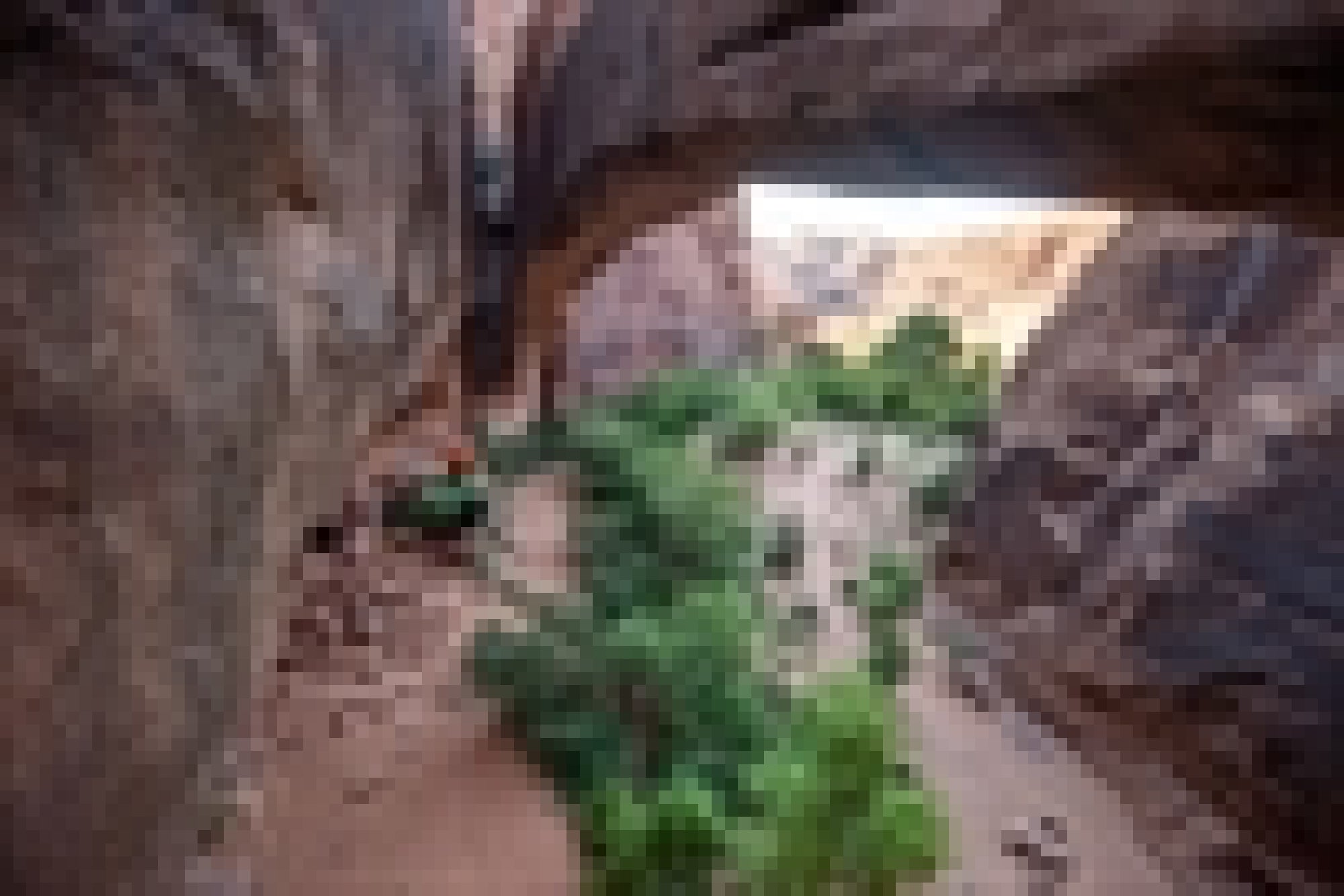 A person sits on a rocky ledge beneath a large stone arch in a desert landscape with shrubs and sandy terrain.