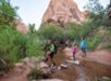 A group of people hike across a shallow stream with stepping stones, surrounded by greenery and a rocky mountain in the background.