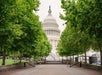 The United States Capitol building is seen framed by green trees, with stairs leading up and tents set up on the right side.
