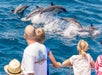 Captain Dave's Dolphin & Whale Safari - Dana Point, CA