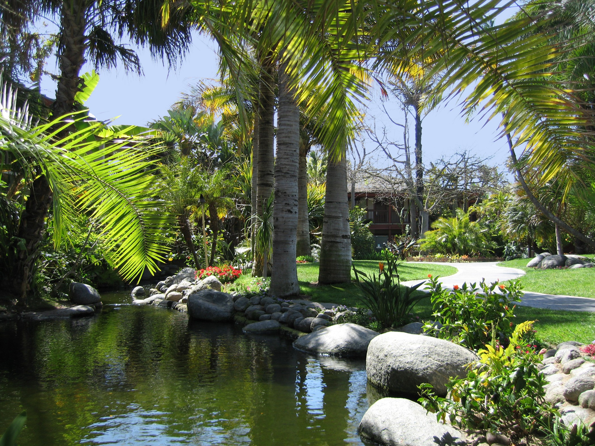 Resort's lush garden and pond.