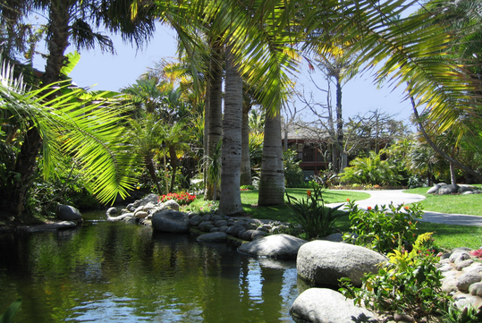 Resort's lush garden and pond.