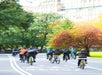 Central Park Bike Tours in New York, New York