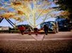Christmas Town: A Busch Gardens Celebration in Williamsburg, Virginia
