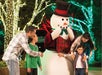 Christmas Town: A Busch Gardens Celebration in Williamsburg, Virginia